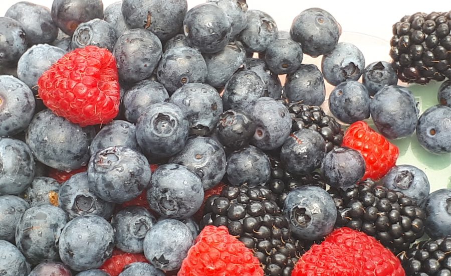 Beeren im Bayerischen Wald